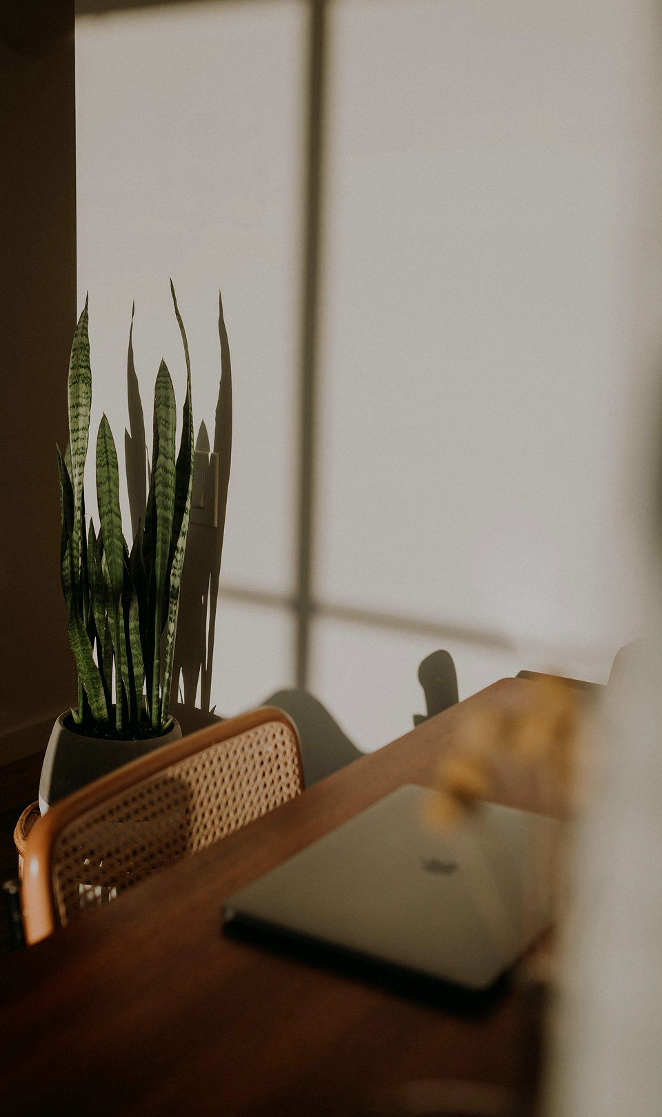 とっておきの幸せは、 この家から。